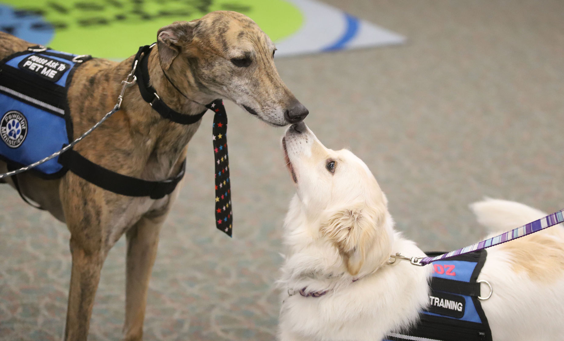 PawPrint Reading 6 1.3.19.jpg